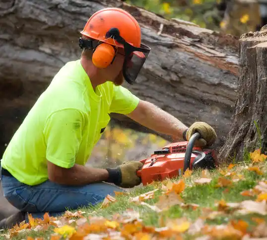 tree services Islip Terrace